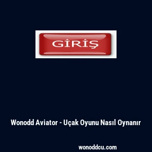 Wonodd Aviator - U&ccedil;ak Oyunu Nasıl Oynanır